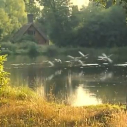 ישי ריבו גם כי אלך