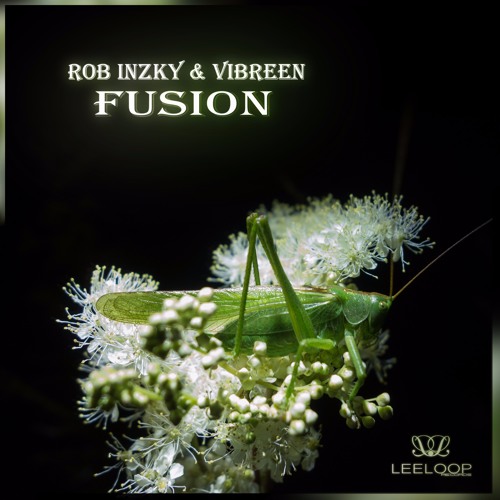 Rob Inzky & Vibreen - Fusion (Leeloop Fanatix Records)