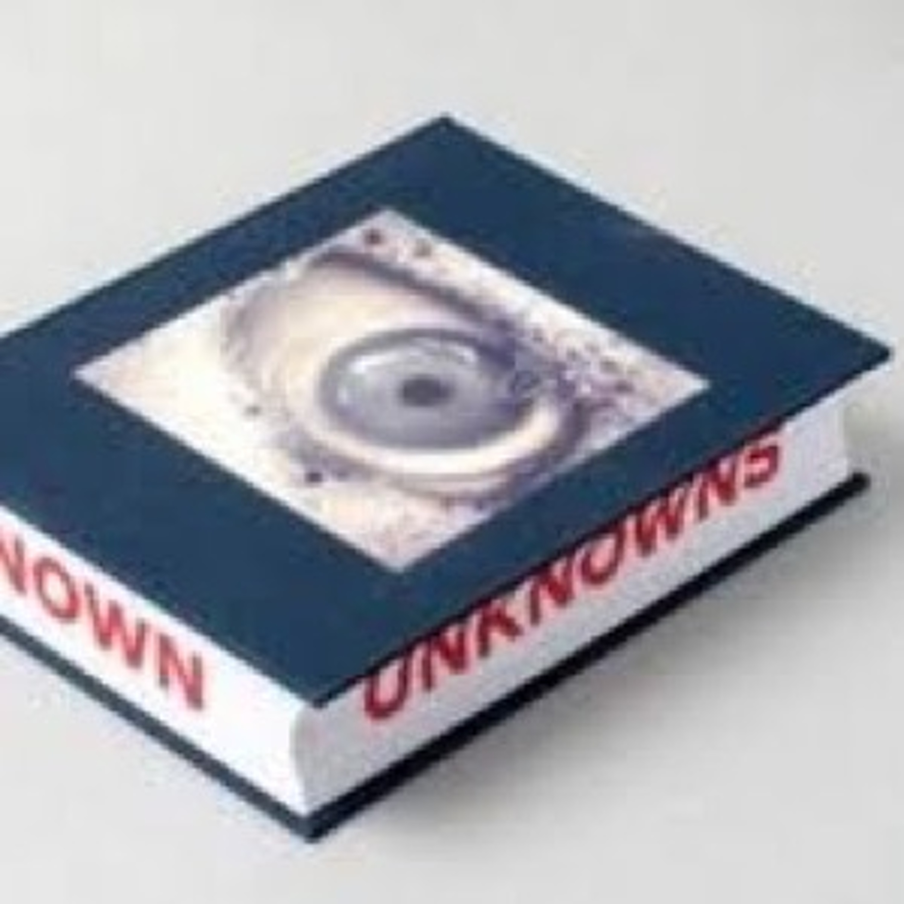 Known Unknowns(The Lost Episode) episode artwork