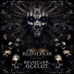Blind - Ox - Mirrors Of Fate - 235 Bpm ( Voodoo Hoodoo Rec )