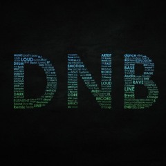 dnb 2017-2018