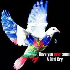 Babes Wodumo Ft Mampintsha - Wololo