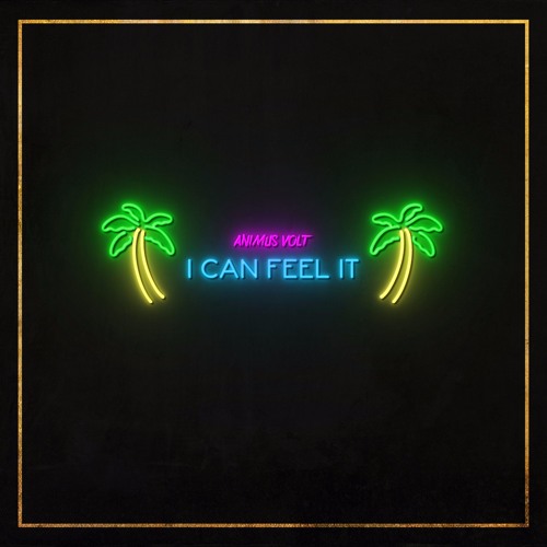 Animus Volt - I Can Feel It