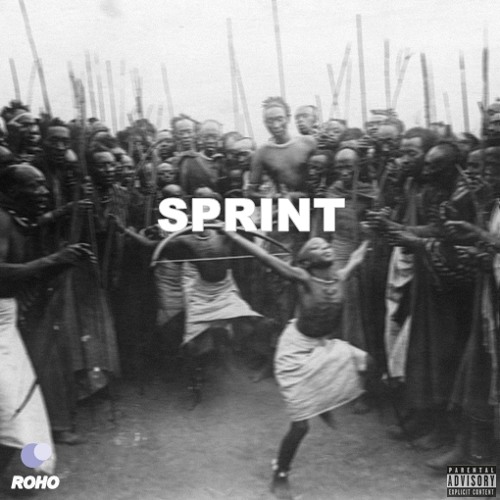 Roho - Sprint