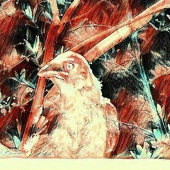 Fledgeling