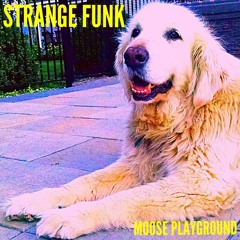 Strange Funk ft. Jizza Raw