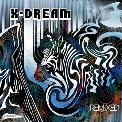 7 X-Dream "The Second Room " Man With No Name Remix Flying Rhino 2017