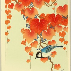 Spirit of the Forest