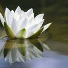 Korkusuz - Desspot (INSTRUMENTAL MIX)