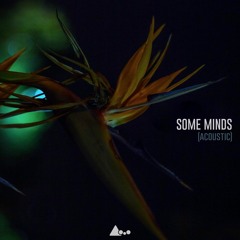 Flume - Some Minds [acoustic]