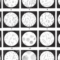 Summer Something - Set002