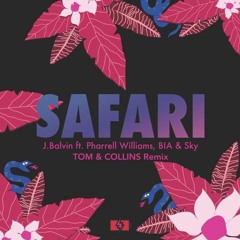 J.Balvin Ft. Pharrell Williams -Safari (Dub Mix)