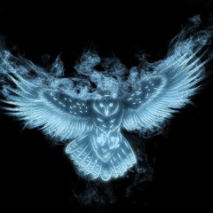 Birdy WakWak - Gazeuse