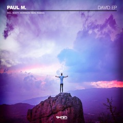 Paul M. - David (Musty Remix)[Synth Connection]