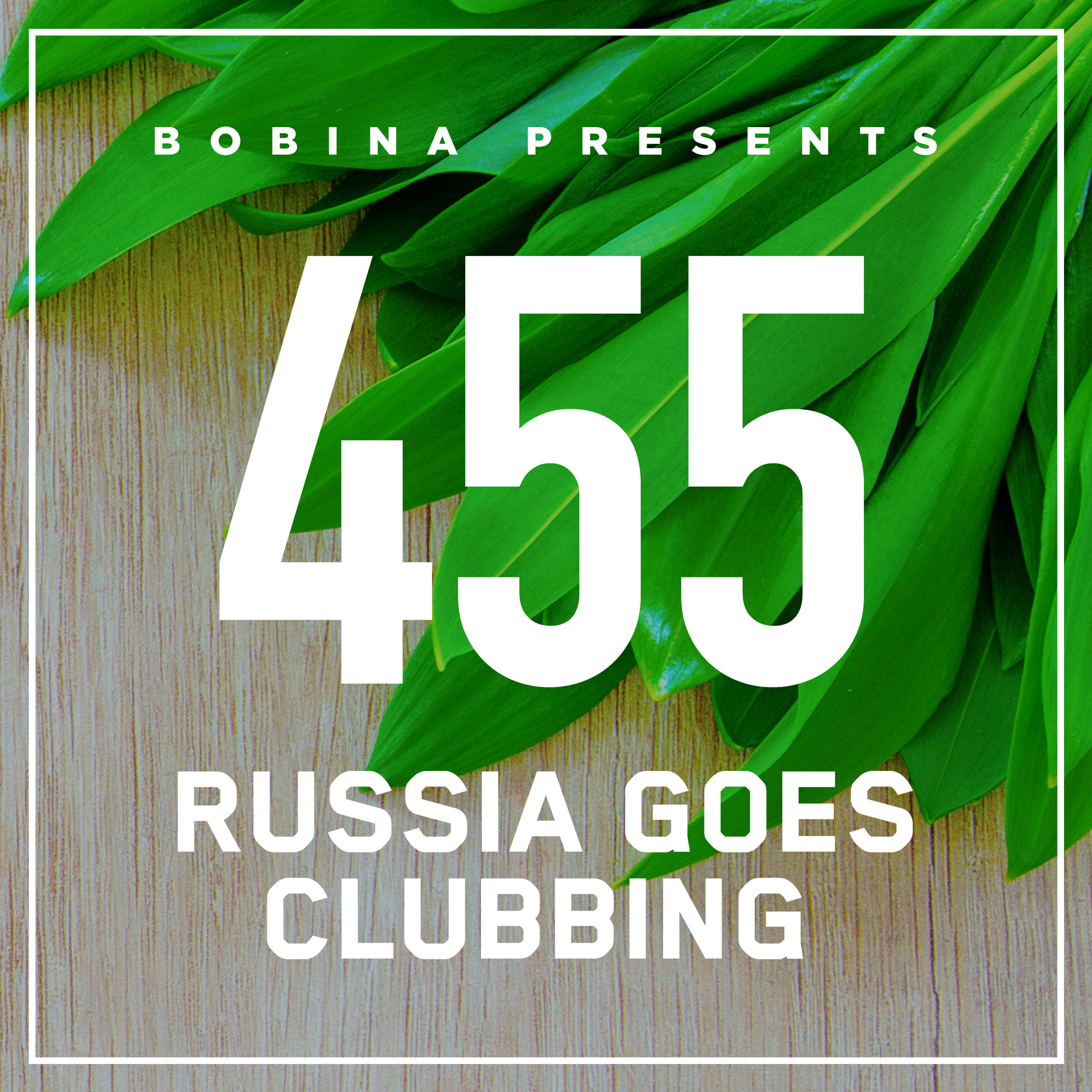 Russia Goes Clubbing