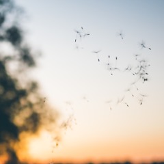 Crosswinds - Original composition for solo Piano