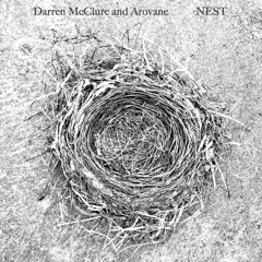 Nest 02 Scrape (excerpt)
