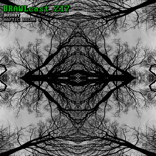 BRAWLcast 217 Bushby - Haptic Recon 9