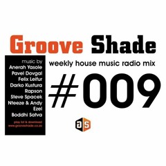 Groove Shade Radio Mix #009