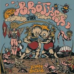 BROTHER D - Planet Sinting (DJ Dellen Scratch Version)