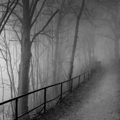 Wonderland