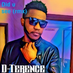 Did U See (Remix)