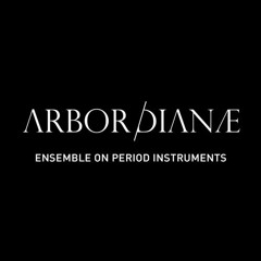 J. S. Bach - Violin Sonata in C minor, BWV 1017 (Allegro)