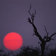 Искусство Ухода За Мотоциклом(часть 2)