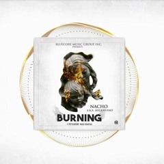 Nacho - Burning