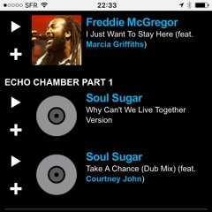 "Why can't we live together" / "Take a chance" Dub mixes (David Rodigan on BBC1 X-tra)