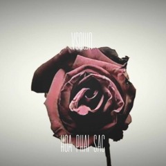 HOA PHAI SẮC | VSOWN