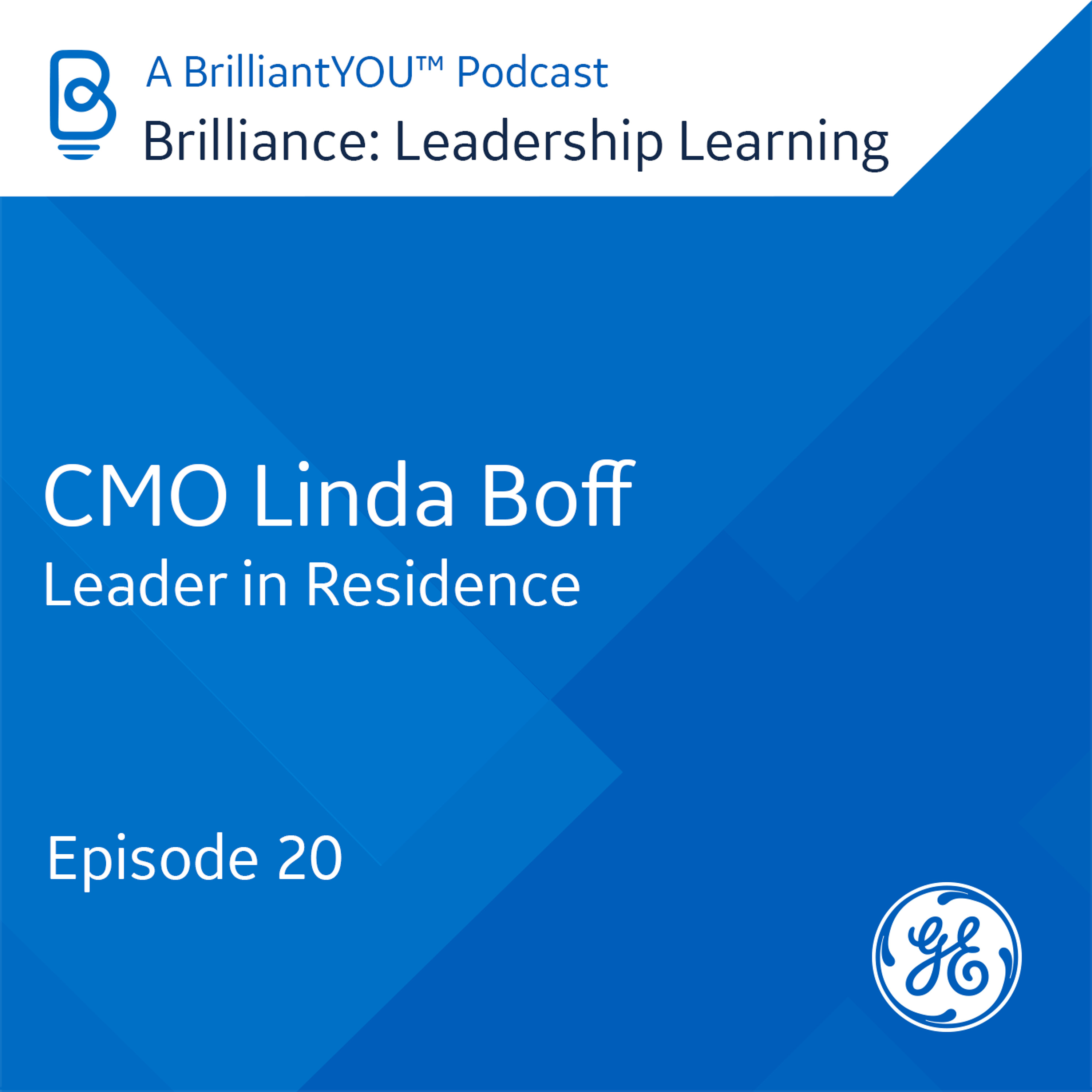Brilliance: Leadership Learning