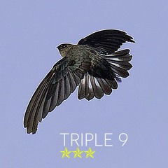 TRIPLE 9(stereo)