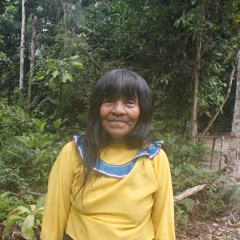 Warag Shaam Meets Shipibo Shamans - Icaro