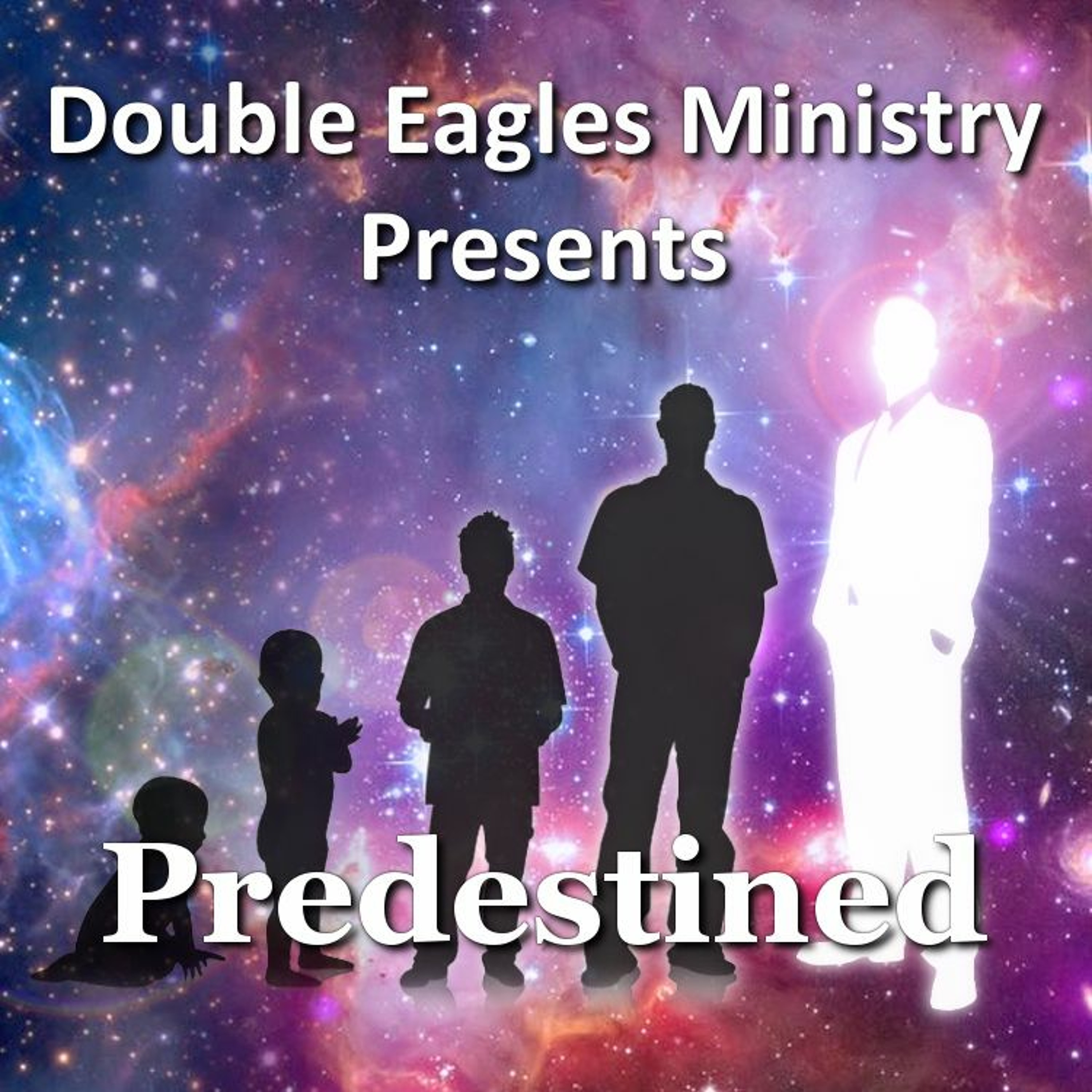 Predestined episode artwork