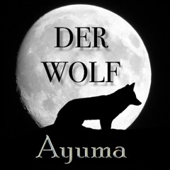 Der Wolf