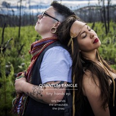 Quantum Tangle - Tiny Hands