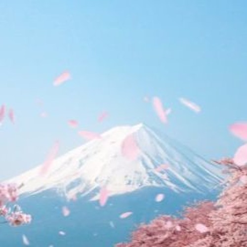 Floating Petals