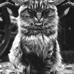 JMY Beats - Devil Inside the Cat