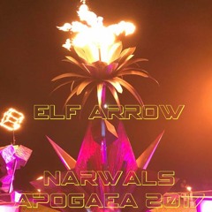 Narwals Apogaea