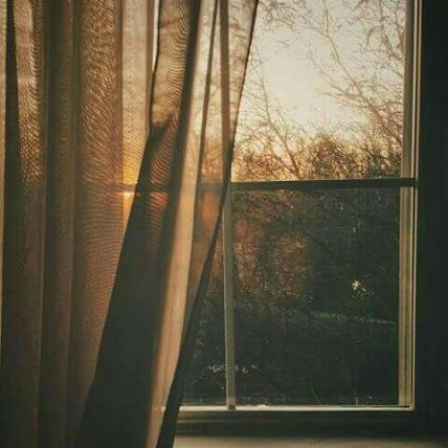 أيُ جُرحٍ في فؤاد المجدِ غائِر .. أبو عبد الملك