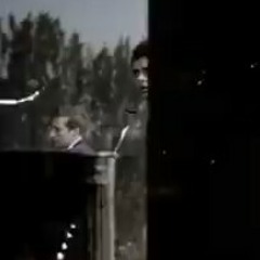 ToeNails Black- LilPharm aka PharmaBand$