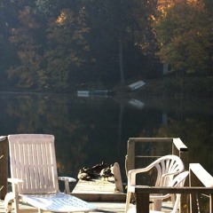 HABIT FORMING EXPERIMENTAL 6/8