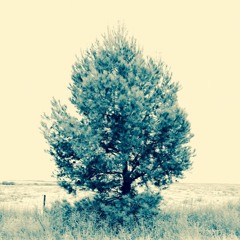 Planet Earth Peace Parade