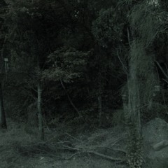 there's something wrong there