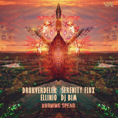Serenity Flux - Senses Expended (Drukverdeler & DJ Bim Remix)