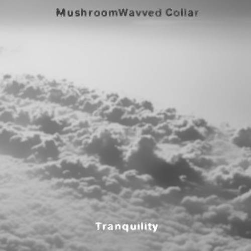 MushroomWavved Collar - Hello