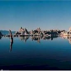 Wish You Were Here (Cover)