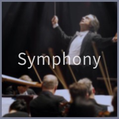 Clean Bandit - Symphony feat. Zara Larsson (Vories Remix)