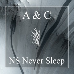 Amer & Cætera - NS Never Sleep
